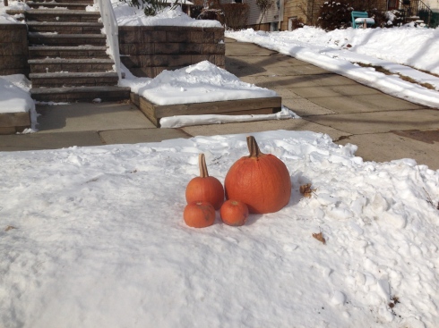 There's more to New Jersey than its odiferous Turnpike  Here, my neighbors dress up their snow with pumpkins. (Why? A beautiful mystery)